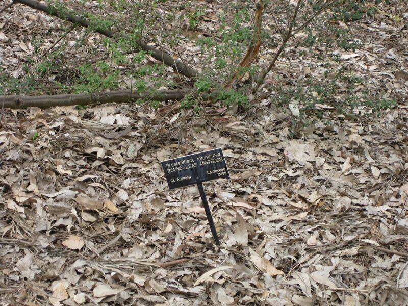 File:1280px-IMG 4697 hunt0904.jpg