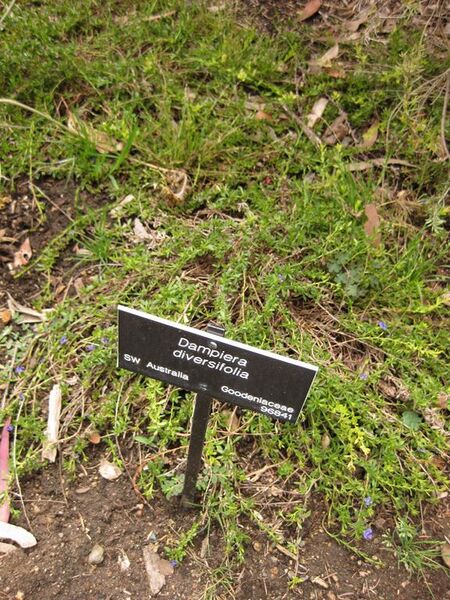 File:576px-IMG 7187 hunt09jun.jpg