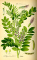 Thumbnail for version as of 14:52, 22 October 2007