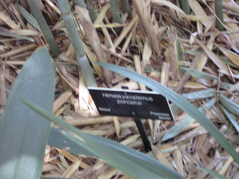 File:1024px-IMG 4198 hunt0904.jpg