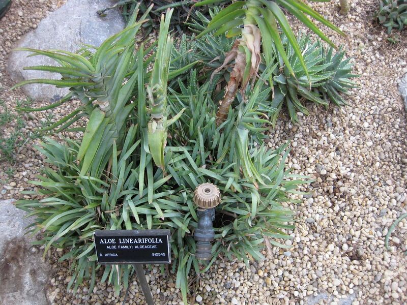 File:1280px-IMG 1284 bbg09.jpg