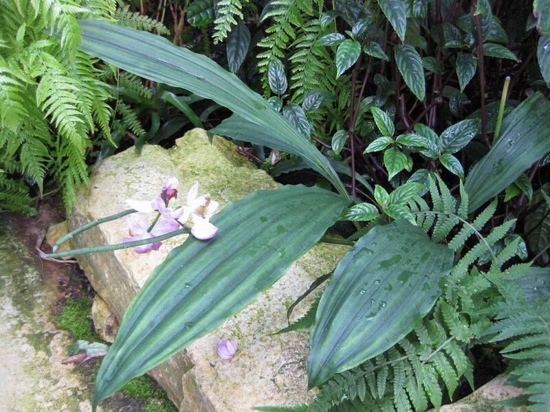 File:1280px-IMG 1832 hunt09oct.jpg