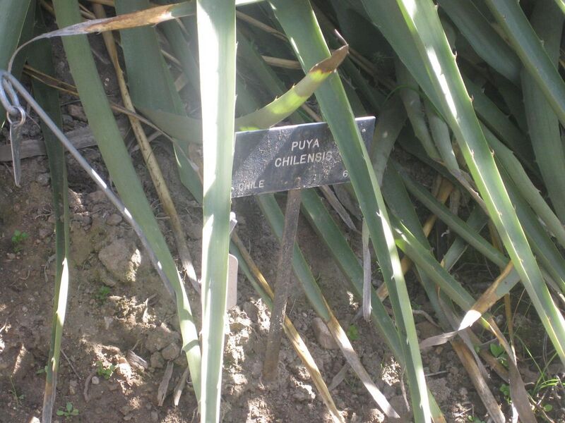 File:1280px-IMG 2333 hunt0903.jpg