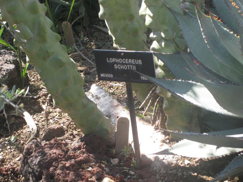 File:1280px-IMG 2435 hunt0903.jpg