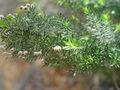 Thumbnail for version as of 20:45, 6 October 2007