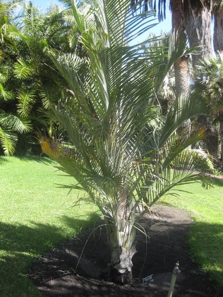 File:IMG 2081 hunt0903.jpg