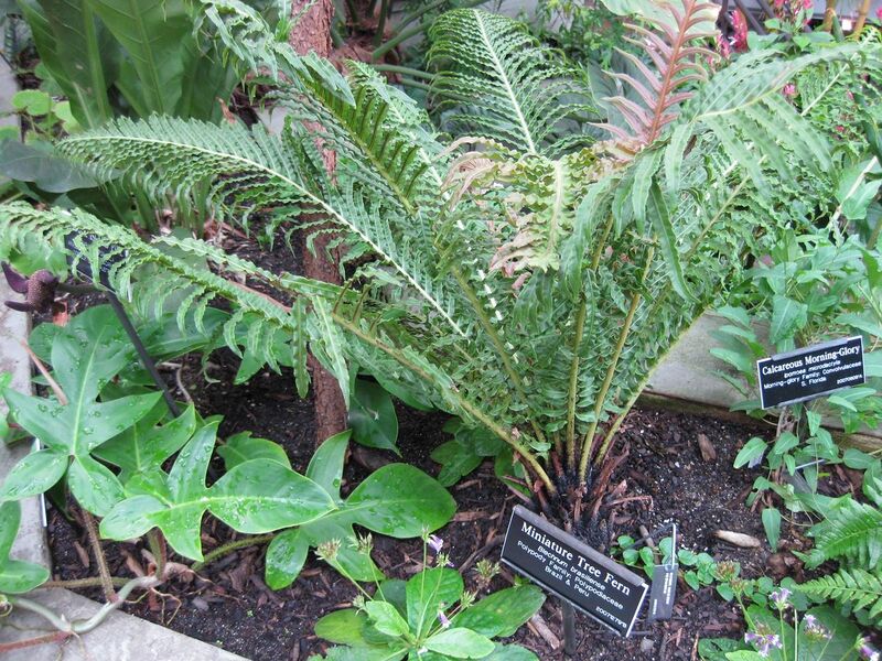 File:1280px-IMG 0925 bbg09.jpg