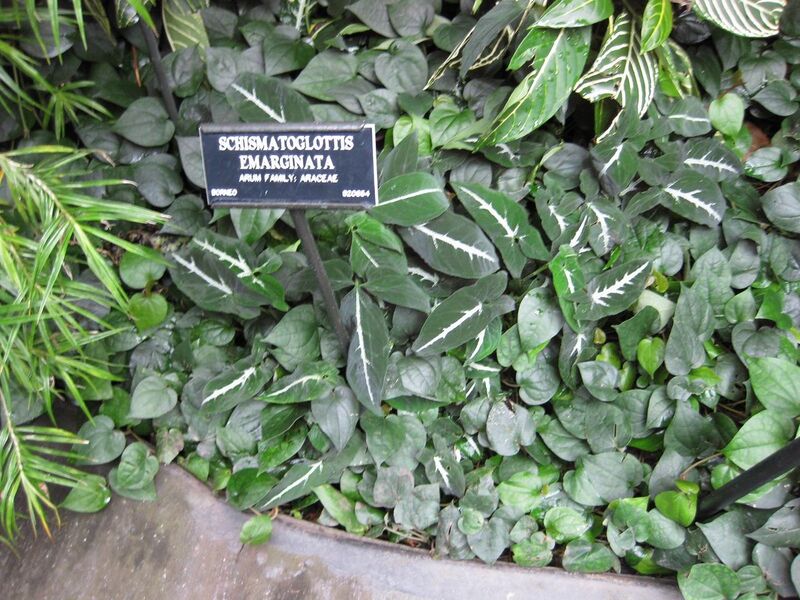 File:1280px-IMG 1150 bbg09.jpg