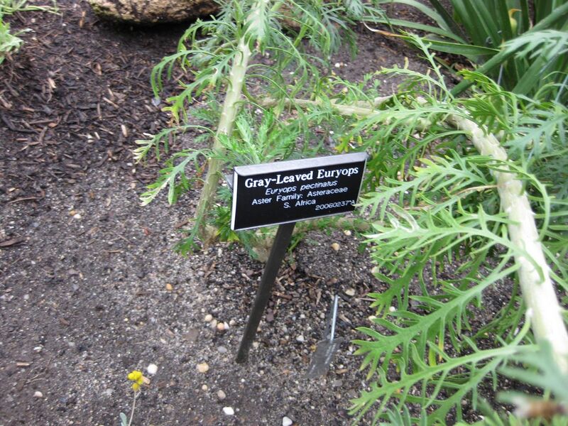 File:1280px-IMG 1234 bbg09.jpg