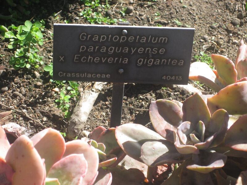 File:1280px-IMG 2125 hunt0903.jpg