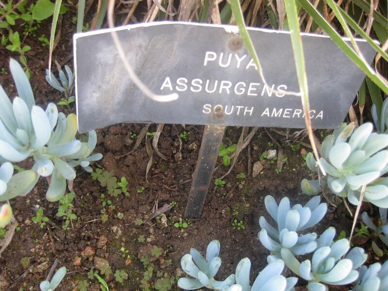 File:1280px-IMG 2379 hunt0903.jpg