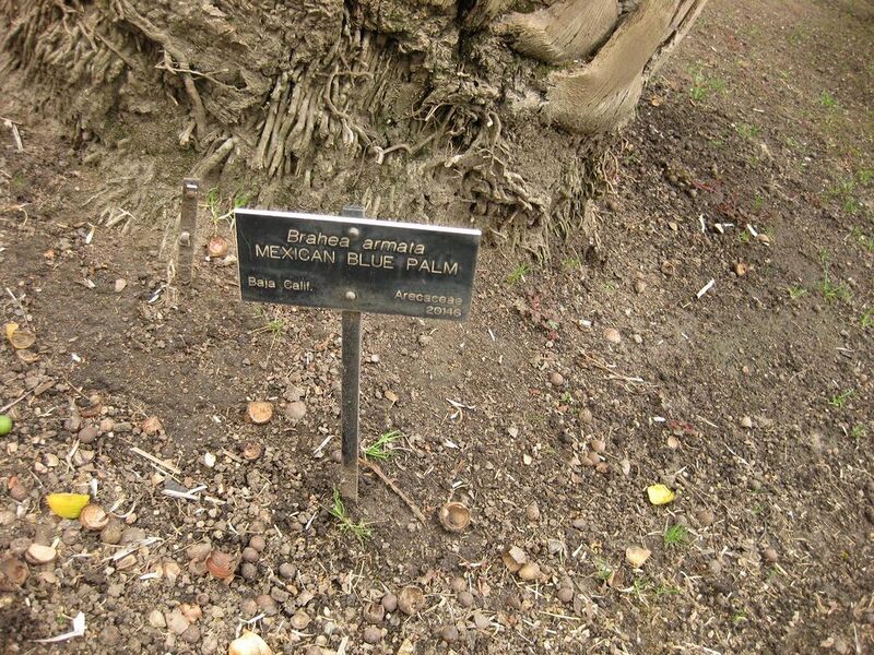 File:1024px-IMG 3866 hunt0904.jpg