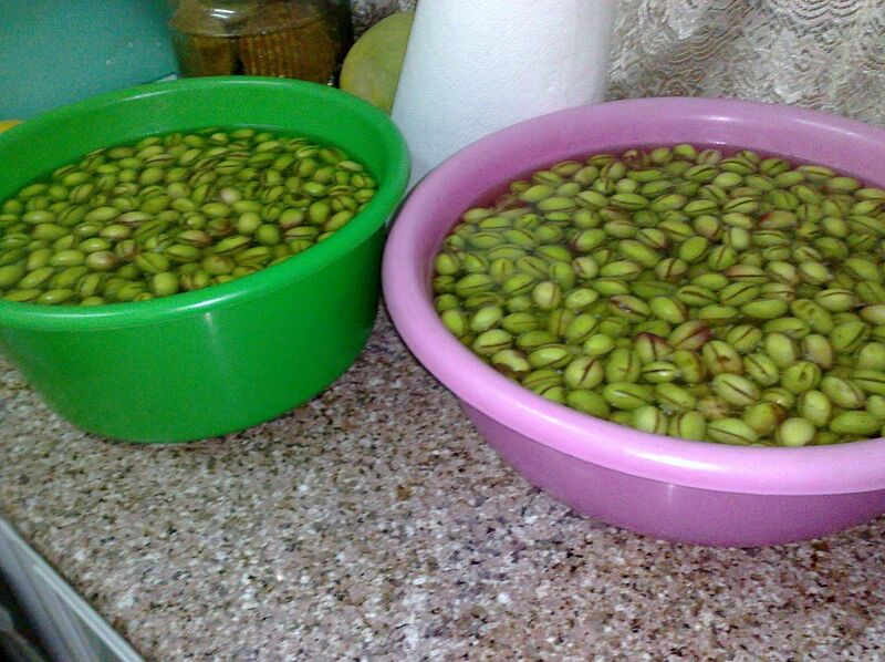 File:1024px-Olives being pickled.jpg