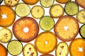 Thumbnail for version as of 11:44, 1 May 2007