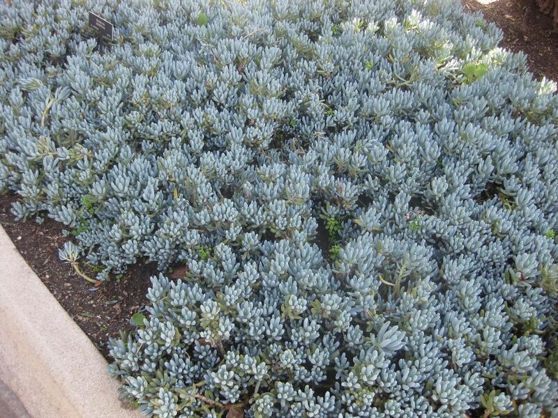 File:1280px-IMG 2126 hunt0903.jpg