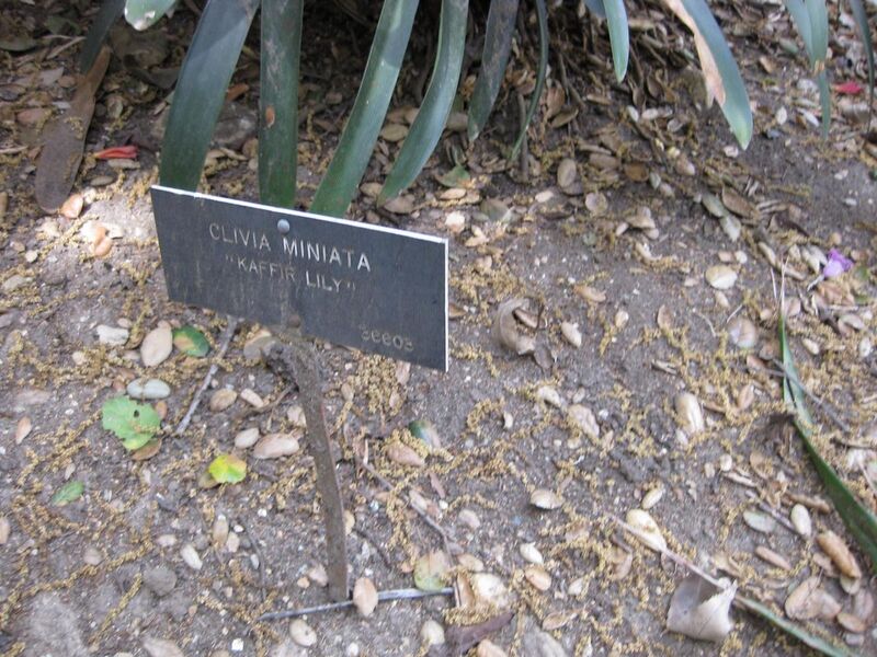 File:1280px-IMG 5119 hunt0904.jpg