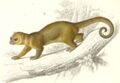 Thumbnail for version as of 10:26, 29 April 2025