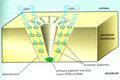 Thumbnail for version as of 09:31, 29 April 2025