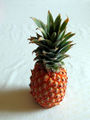 A pineapple