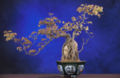 Thumbnail for version as of 06:07, 19 May 2007