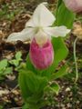 Thumbnail for version as of 09:52, 12 May 2007
