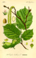 Thumbnail for version as of 03:57, 13 August 2007