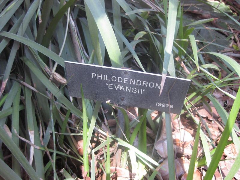 File:1280px-IMG 2059 hunt0903.jpg