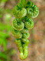 Thumbnail for version as of 19:31, 30 October 2007