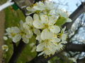 Thumbnail for version as of 13:19, 10 November 2007