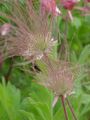 Thumbnail for version as of 05:45, 23 August 2007
