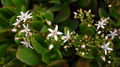 Thumbnail for version as of 12:44, 21 May 2007