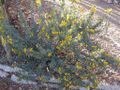 Thumbnail for version as of 10:31, 29 April 2025