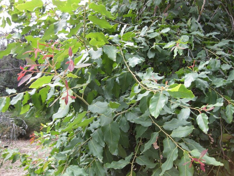 File:1280px-IMG 4674 hunt0904.jpg