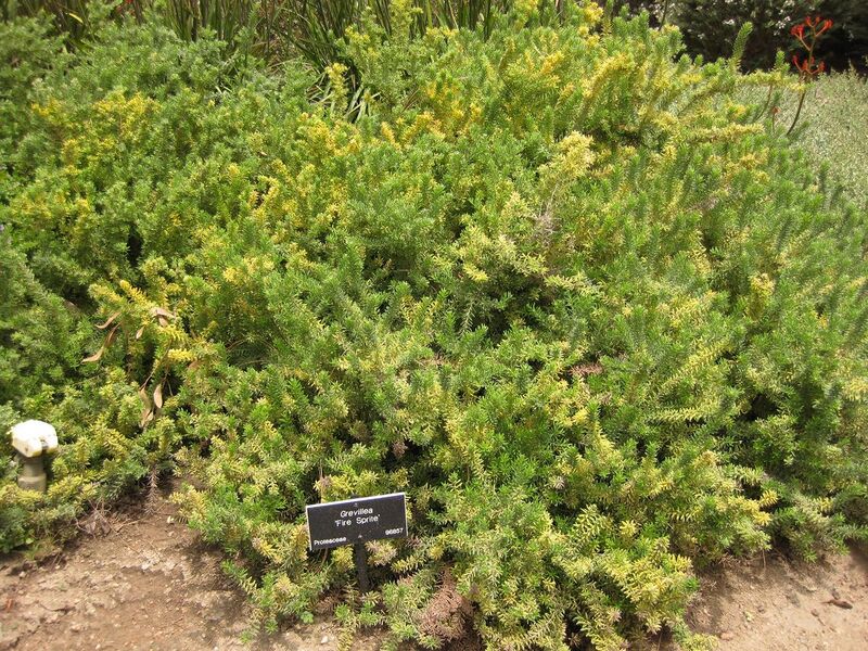 File:1280px-IMG 7329 hunt09jun.jpg