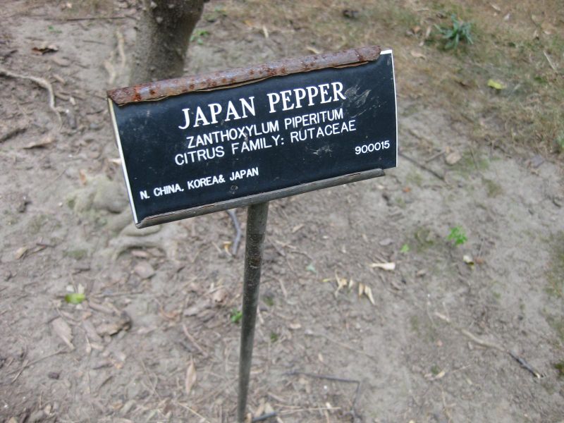 File:IMG 1313 bbg09.jpg