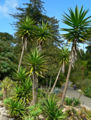 Thumbnail for version as of 22:43, 12 March 2009