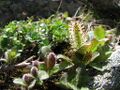 Thumbnail for version as of 10:25, 29 April 2025