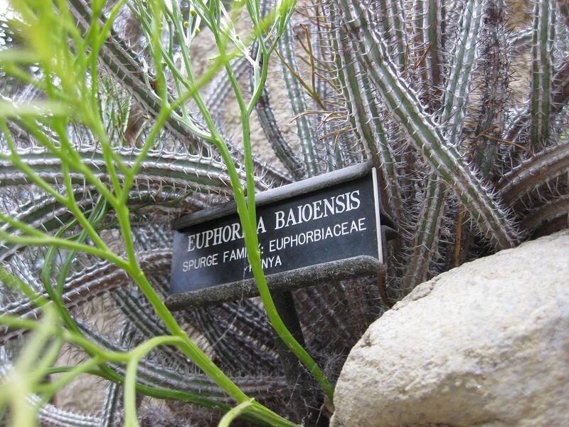 File:1280px-IMG 1305 bbg09.jpg