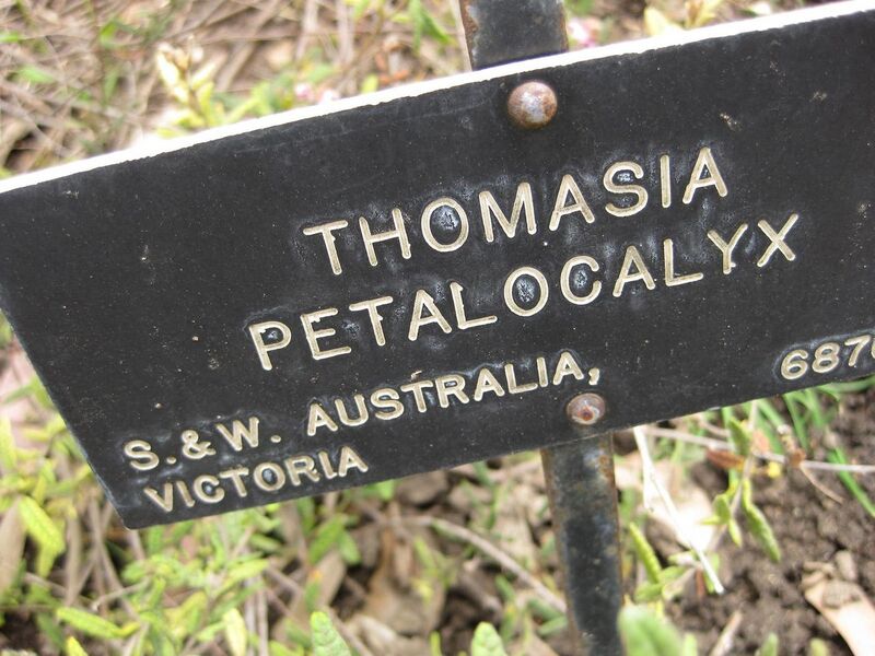 File:1280px-IMG 5103 hunt0904.jpg