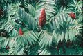 Thumbnail for version as of 16:39, 29 April 2025