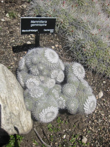 File:IMG 2295 hunt0903.jpg