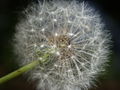 Thumbnail for version as of 05:24, 2 July 2007