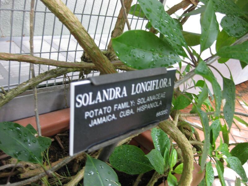 File:1280px-IMG 0979 bbg09.jpg