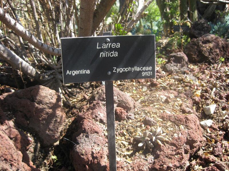 File:1280px-IMG 2464 hunt0903.jpg