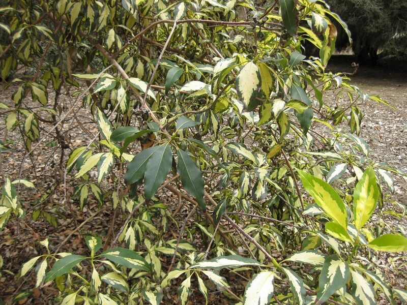 File:1280px-IMG 4692 hunt0904.jpg