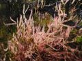 Thumbnail for version as of 10:33, 29 April 2025