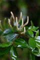Thumbnail for version as of 10:16, 6 August 2007