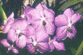 Thumbnail for version as of 11:23, 10 July 2007