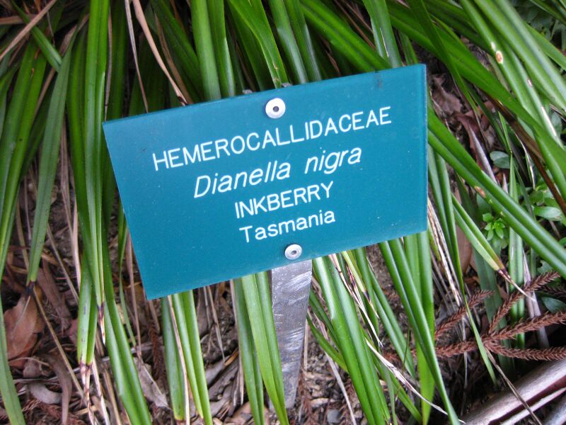 File:0jexccpa7246dezz4hg49sadnoeqlb1.jpg
