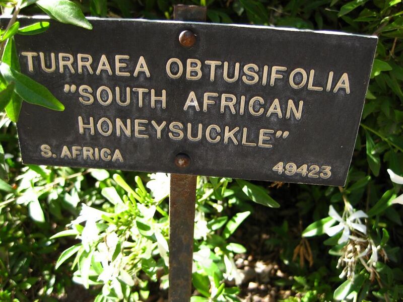 File:1024px-IMG 2066 hunt09oct.jpg